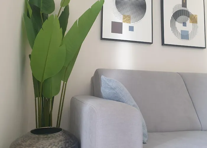 Elite 14d Da Rocha 波尔蒂芒