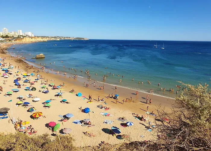 Elite 14d Da Rocha Apartament